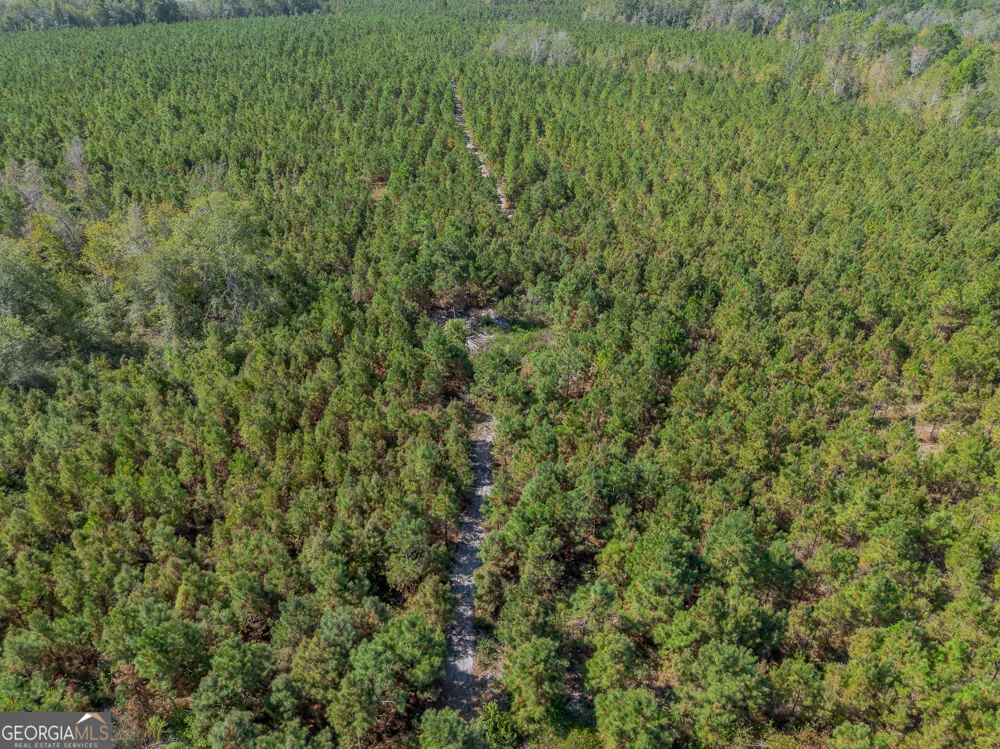 TRACT 2 Kinnett RD Jacksonville, GA 31544