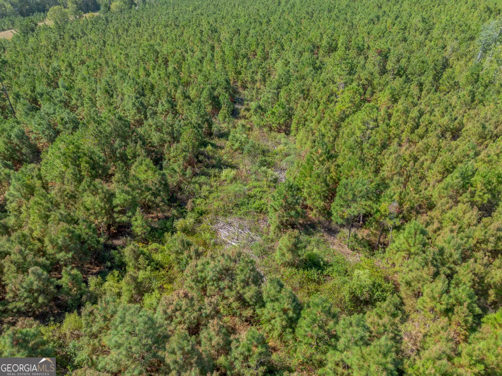 TRACT 2 Kinnett RD Jacksonville, GA 31544