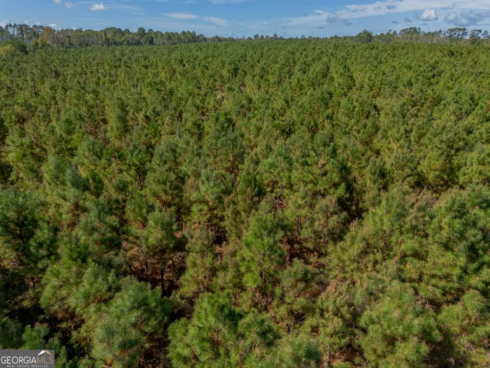 TRACT 2 Kinnett RD Jacksonville, GA 31544