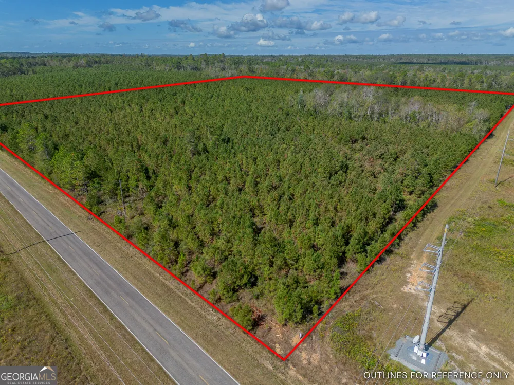 TRACT 2 Kinnett RD Jacksonville, GA 31544