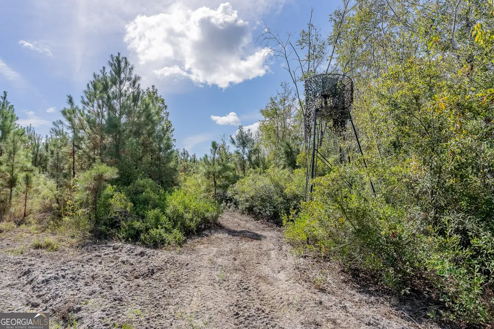TRACT 2 Kinnett RD Jacksonville, GA 31544