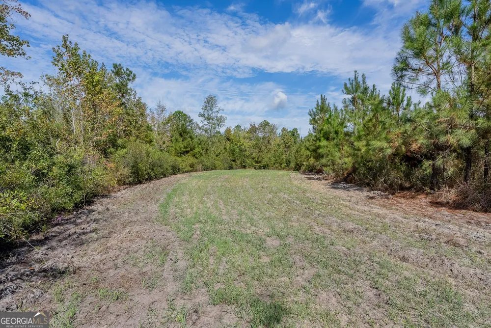 TRACT 2 Kinnett RD Jacksonville, GA 31544