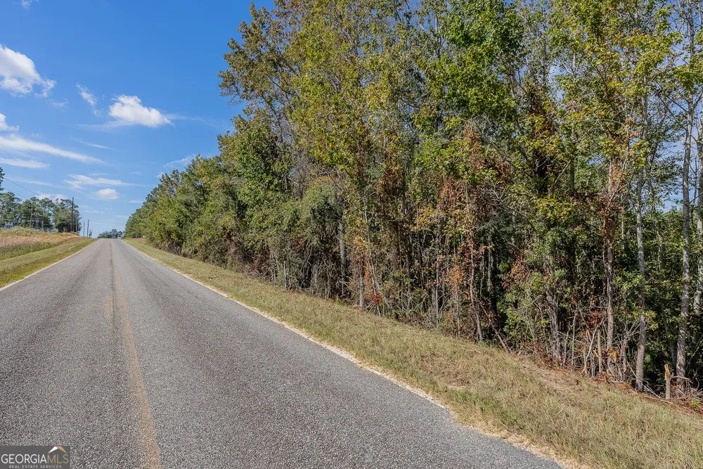 TRACT 2 Kinnett RD Jacksonville, GA 31544