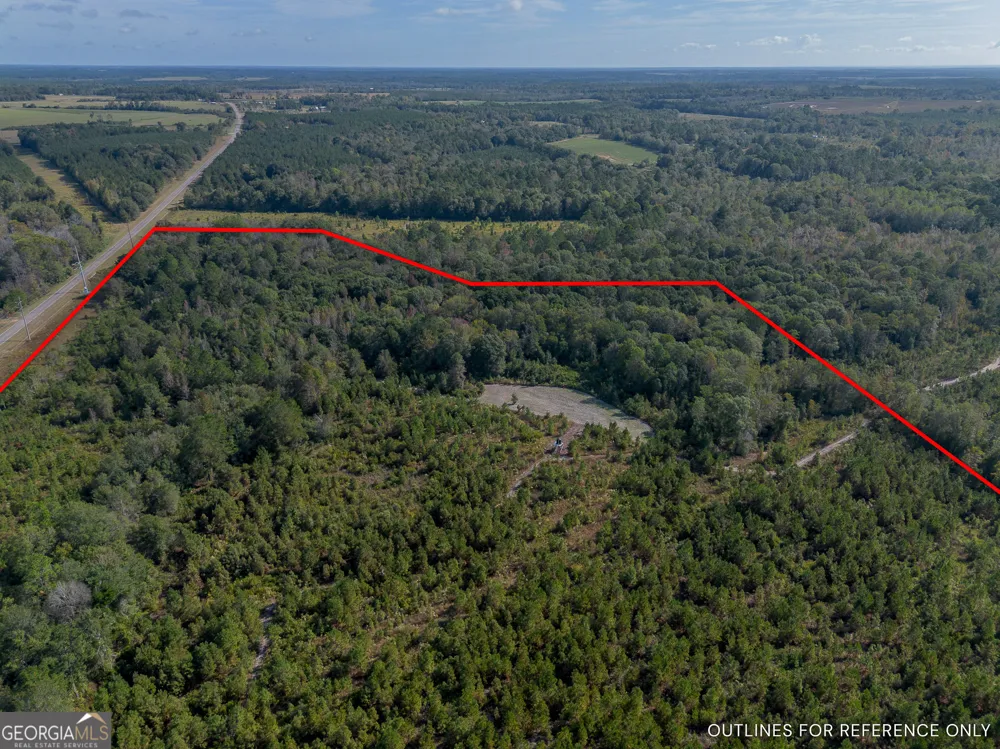 TRACT 7 Kinnett RD Jacksonville, GA 31544