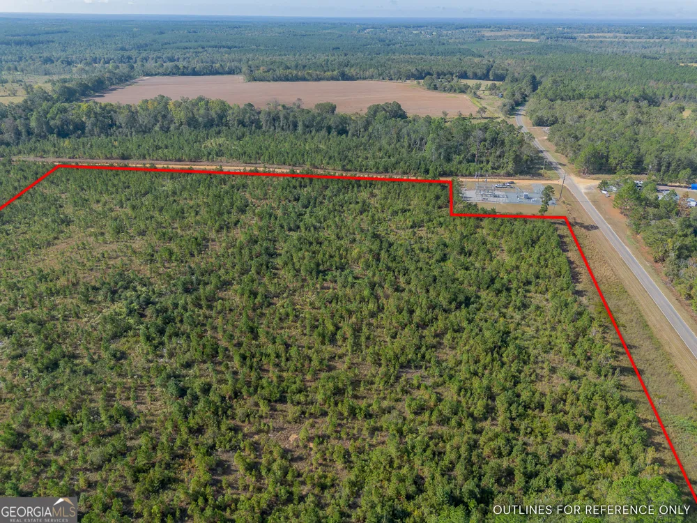 TRACT 7 Kinnett RD Jacksonville, GA 31544