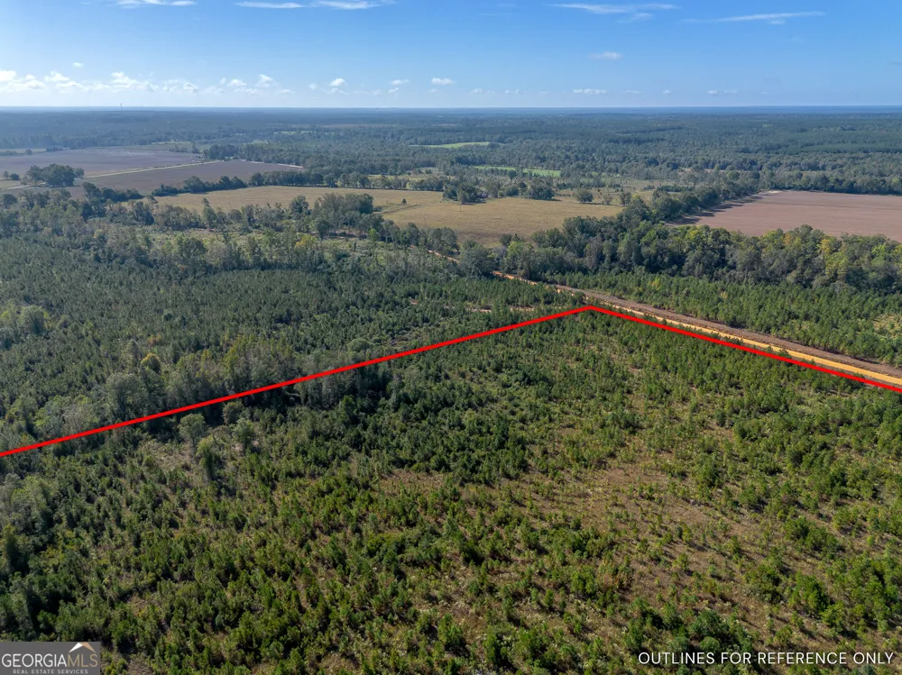 TRACT 7 Kinnett RD Jacksonville, GA 31544