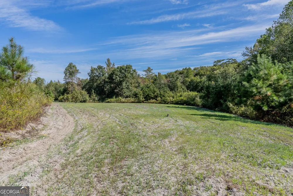 TRACT 7 Kinnett RD Jacksonville, GA 31544