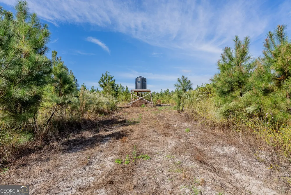 TRACT 7 Kinnett RD Jacksonville, GA 31544