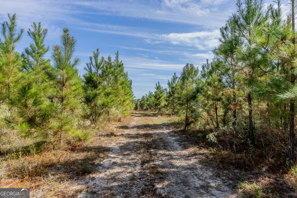 TRACT 7 Kinnett RD Jacksonville, GA 31544