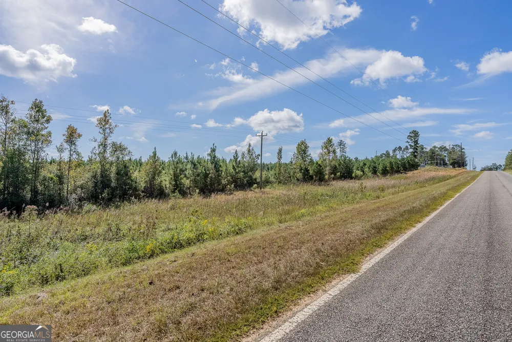 TRACT 7 Kinnett RD Jacksonville, GA 31544