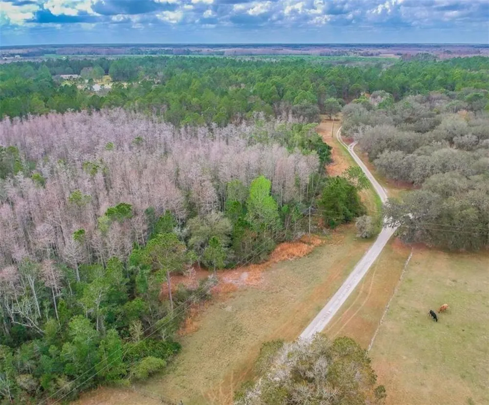 DUBOISE DRIVE Clermont, FL 34711