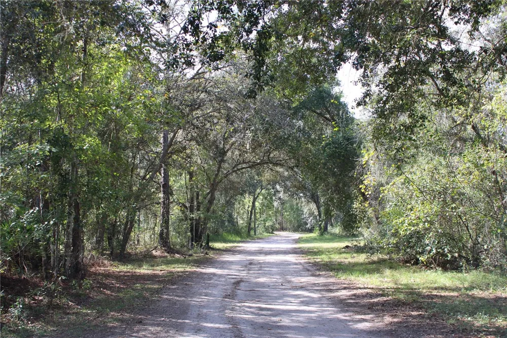 DUBOISE DRIVE Clermont, FL 34711