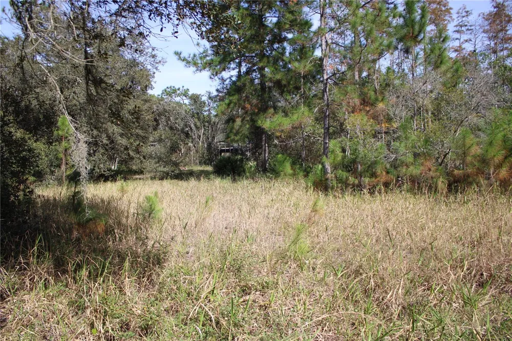 DUBOISE DRIVE Clermont, FL 34711