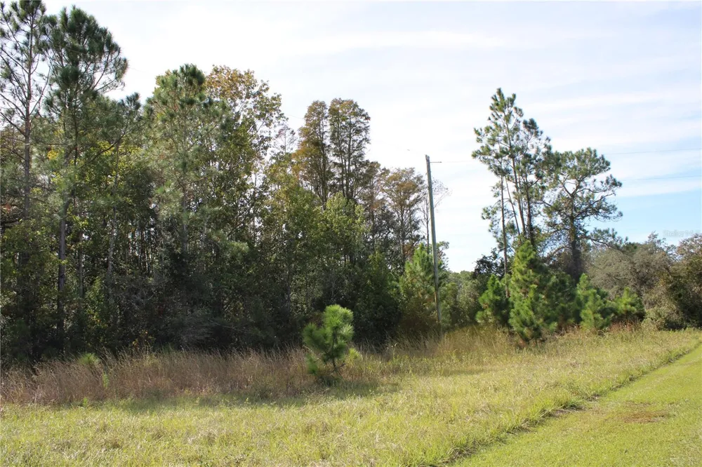 DUBOISE DRIVE Clermont, FL 34711