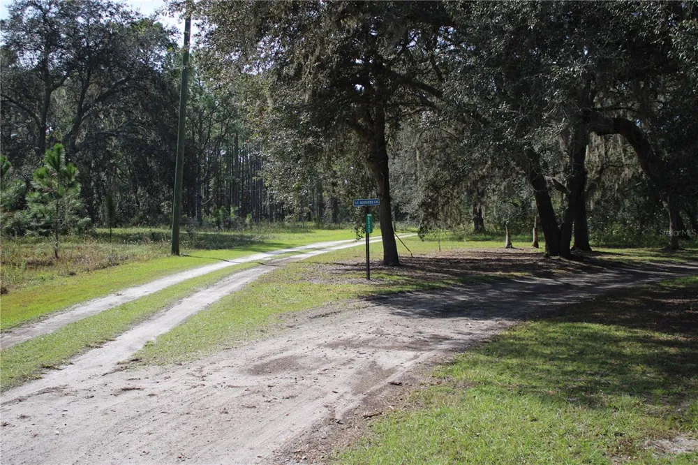DUBOISE DRIVE Clermont, FL 34711