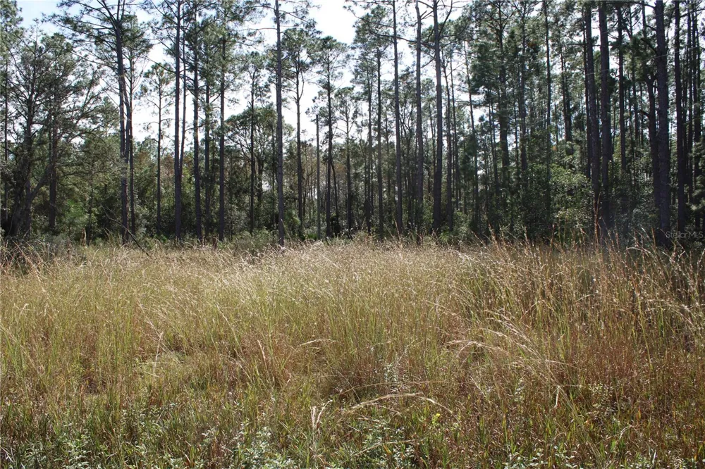 DUBOISE DRIVE Clermont, FL 34711