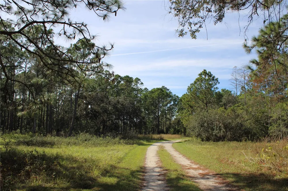 DUBOISE DRIVE Clermont, FL 34711