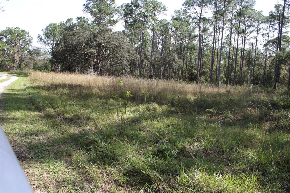 DUBOISE DRIVE Clermont, FL 34711