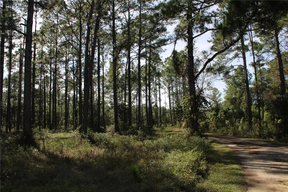 DUBOISE DRIVE Clermont, FL 34711