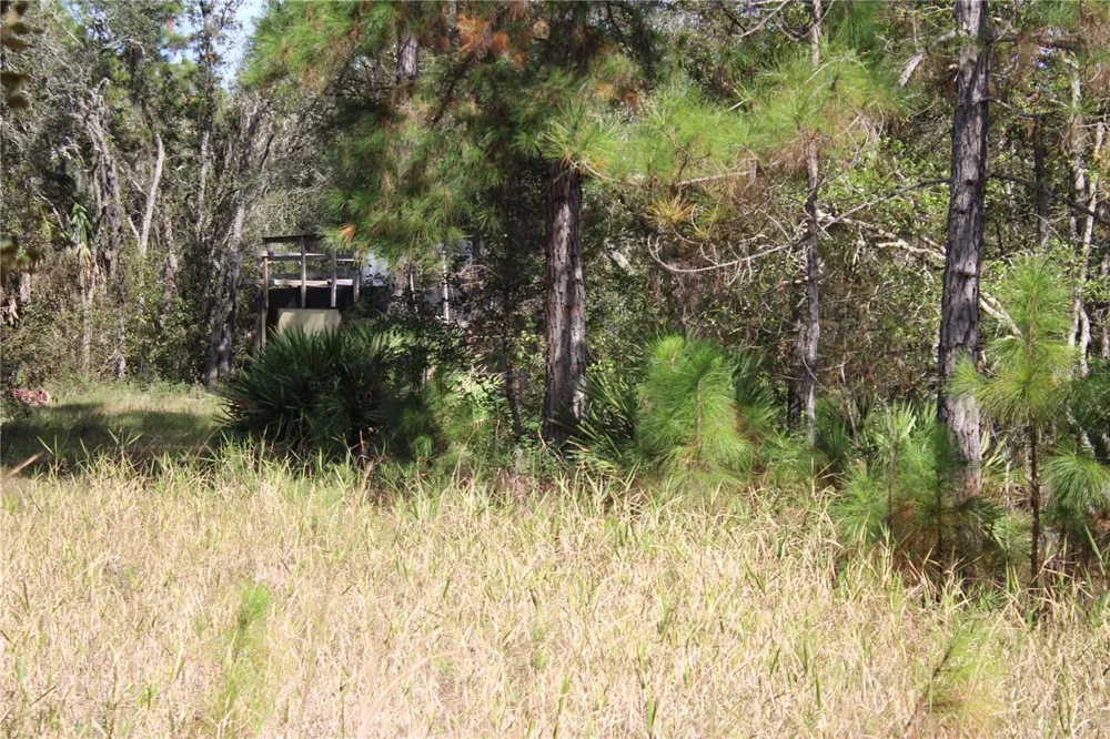 DUBOISE DRIVE Clermont, FL 34711