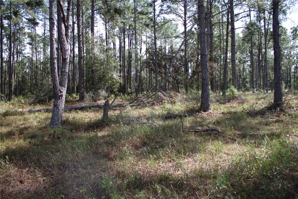 DUBOISE DRIVE Clermont, FL 34711