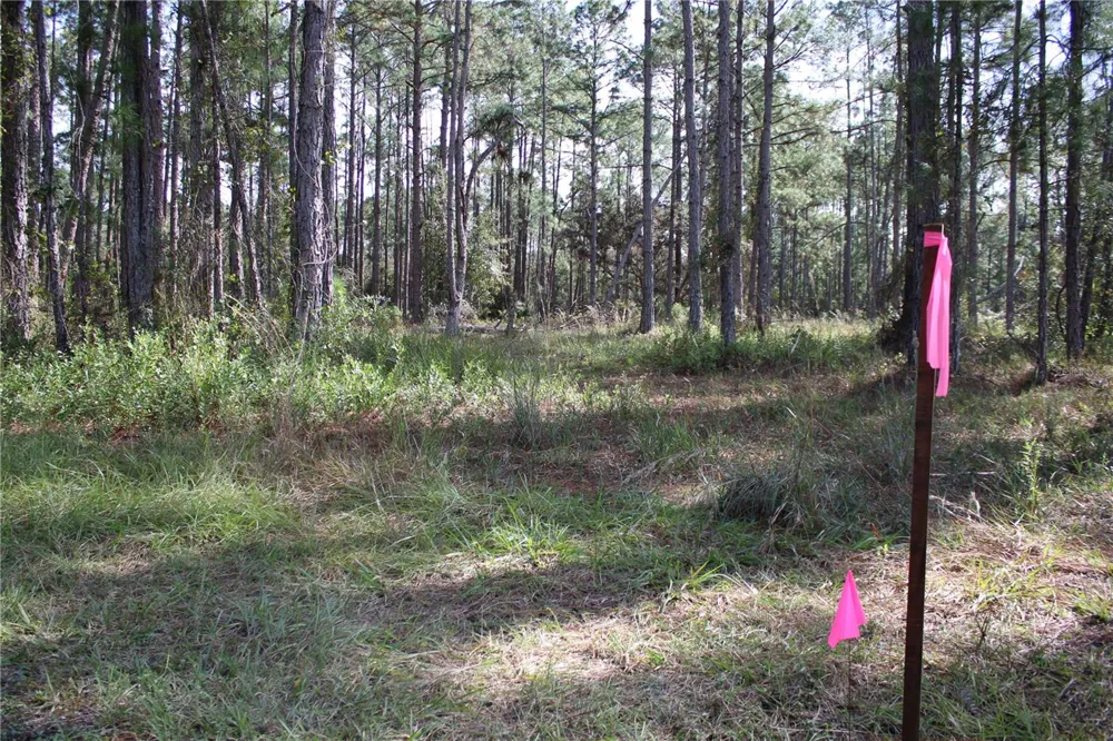 DUBOISE DRIVE Clermont, FL 34711