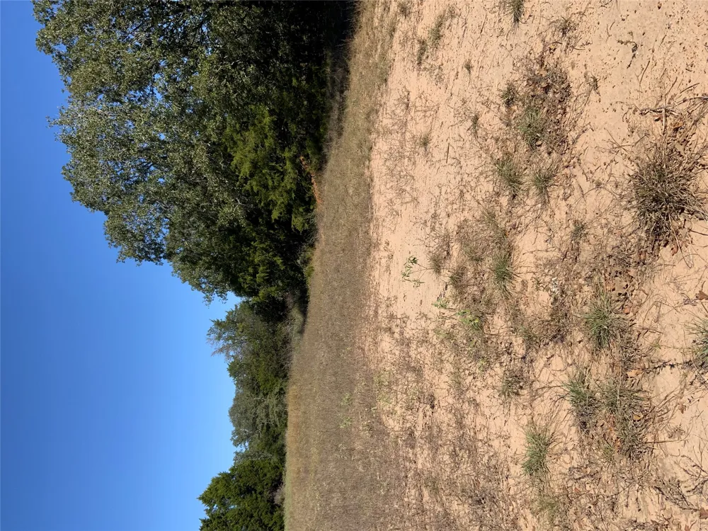 County Road 304 Lexington, TX 78947