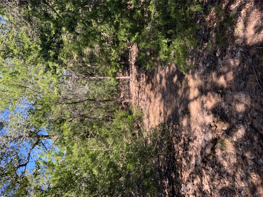County Road 304 Lexington, TX 78947
