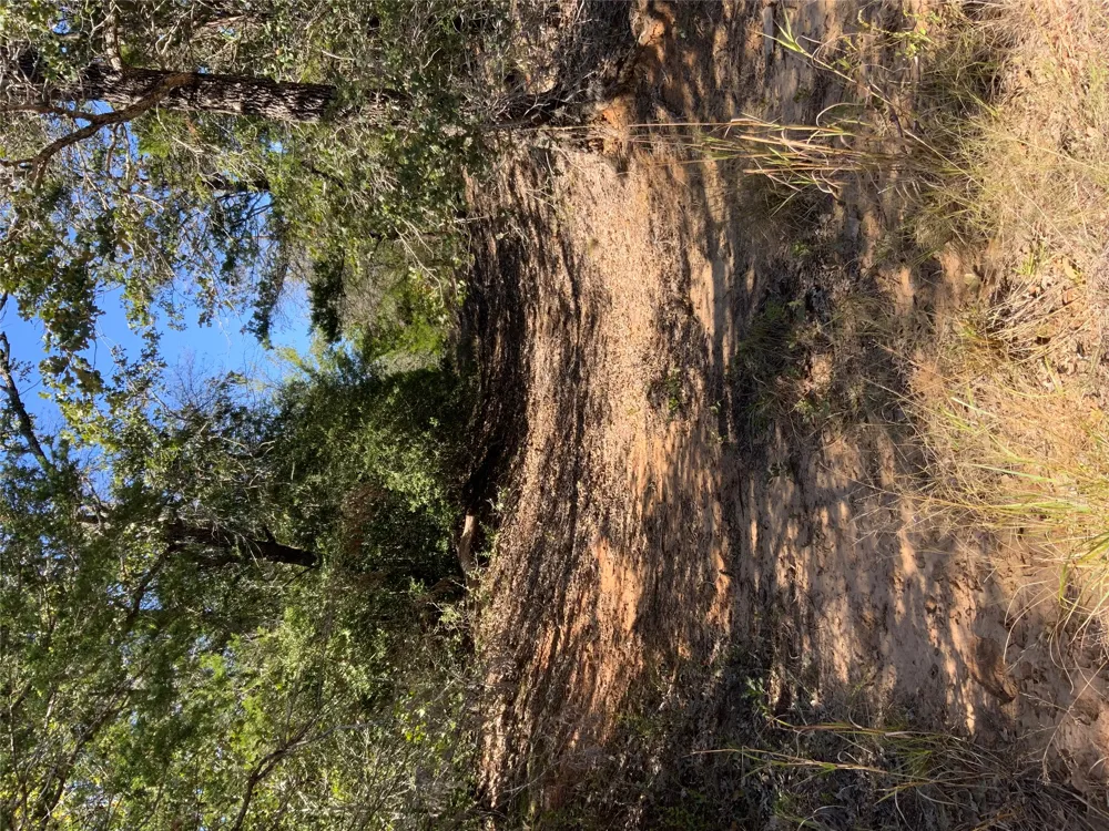 County Road 304 Lexington, TX 78947