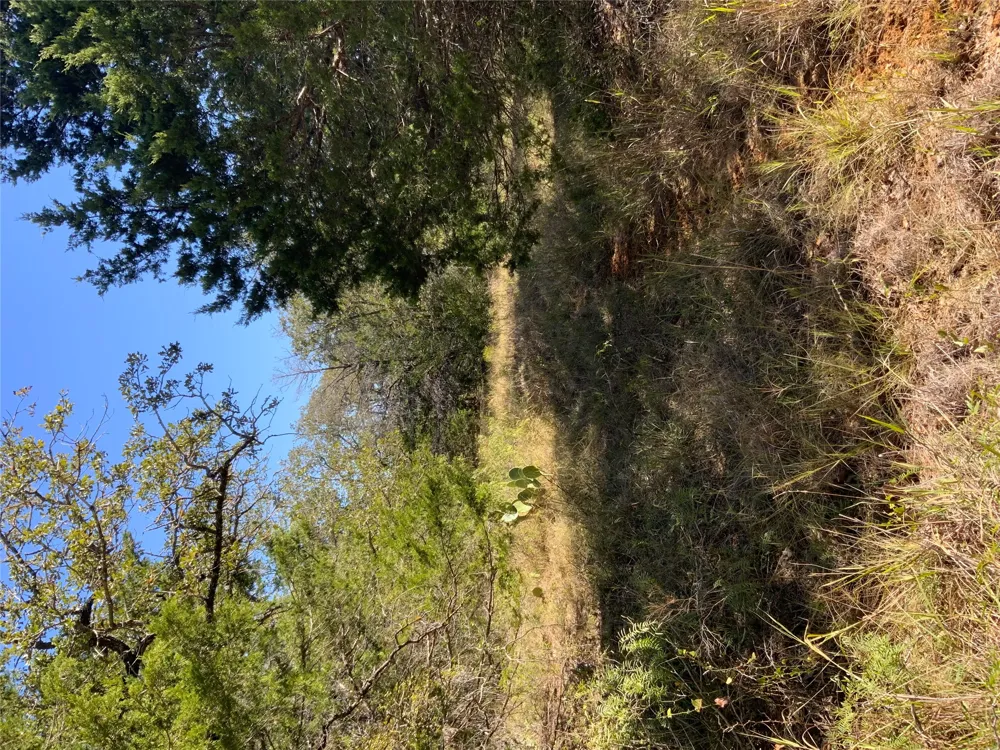 County Road 304 Lexington, TX 78947