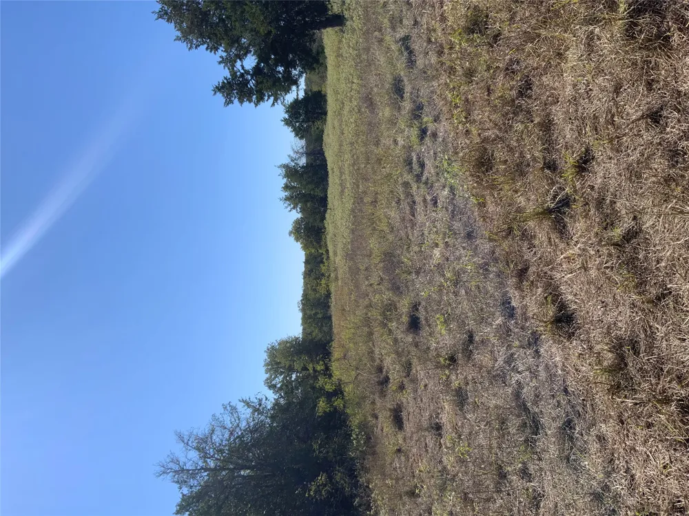 County Road 304 Lexington, TX 78947