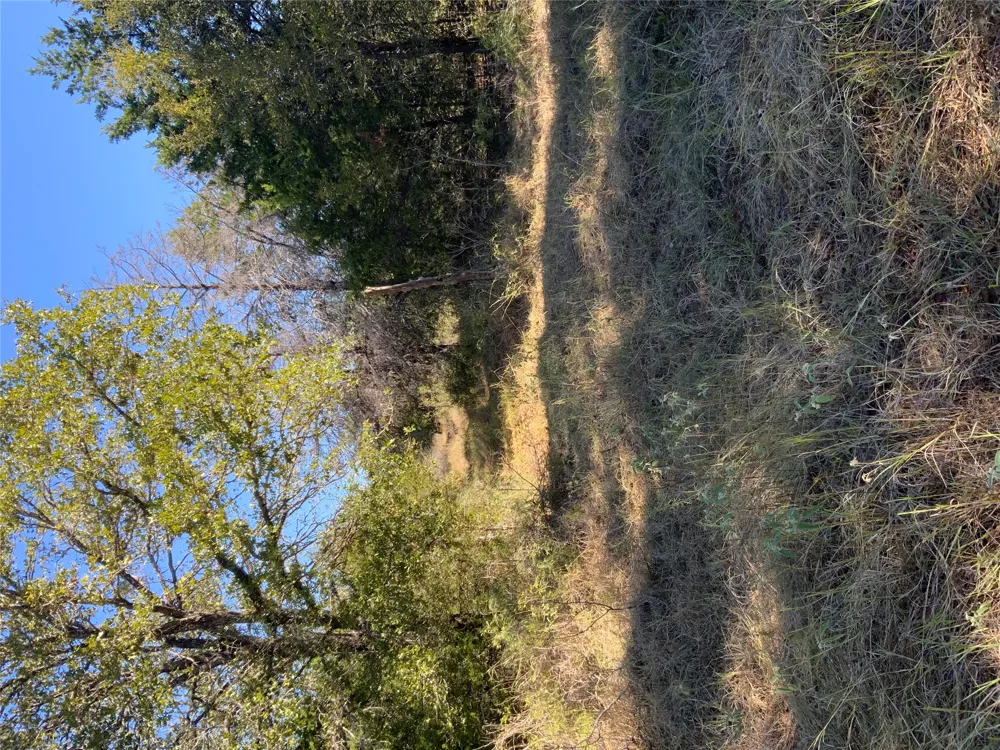 County Road 304 Lexington, TX 78947