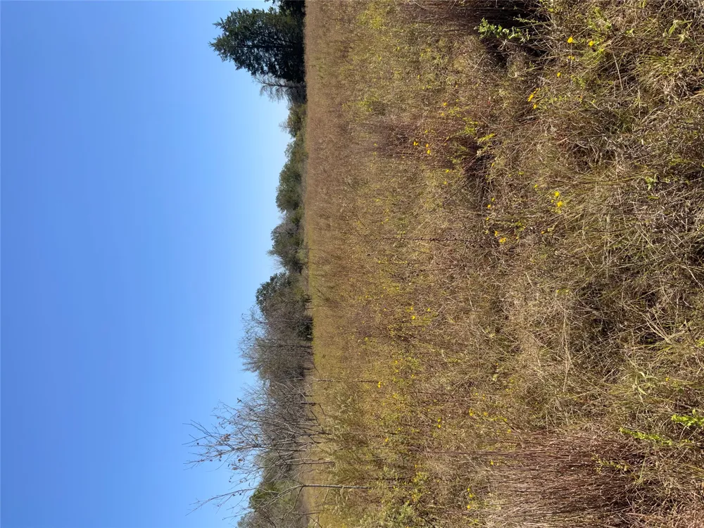 County Road 304 Lexington, TX 78947