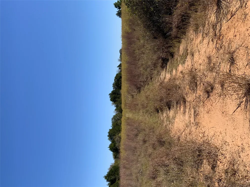 County Road 304 Lexington, TX 78947
