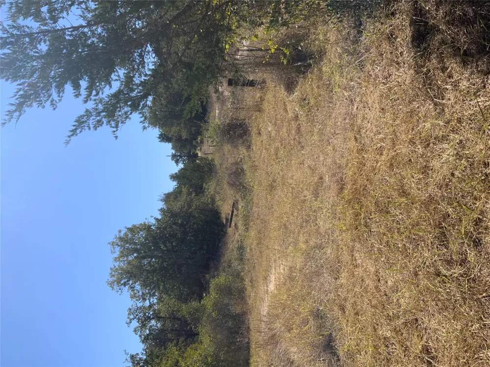 County Road 304 Lexington, TX 78947