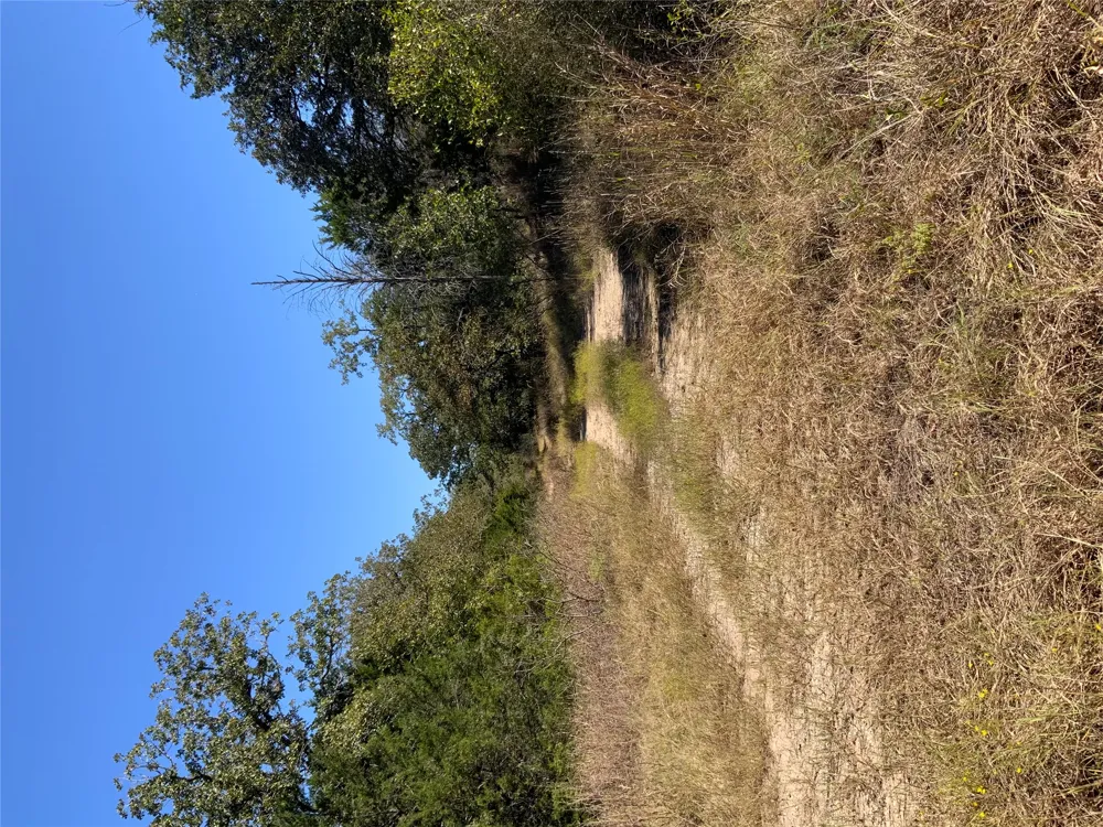 County Road 304 Lexington, TX 78947
