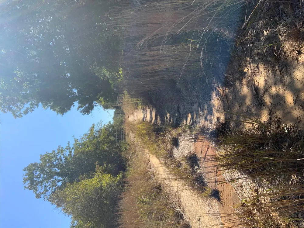 County Road 304 Lexington, TX 78947