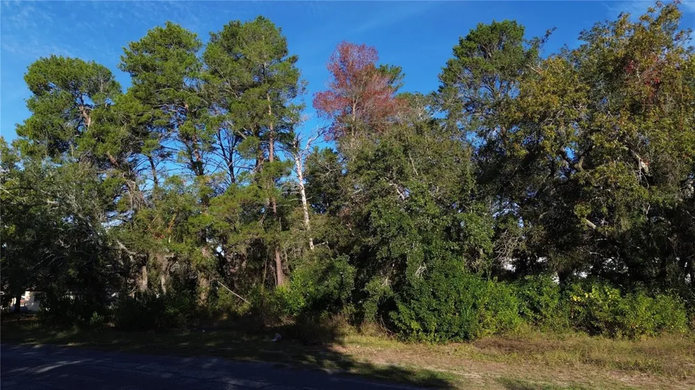 7939 RHANBUOY ROAD Spring Hill, FL 34606