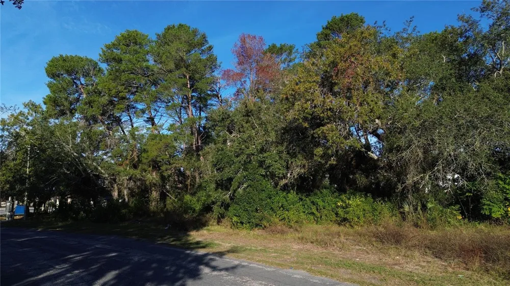 7939 RHANBUOY ROAD Spring Hill, FL 34606