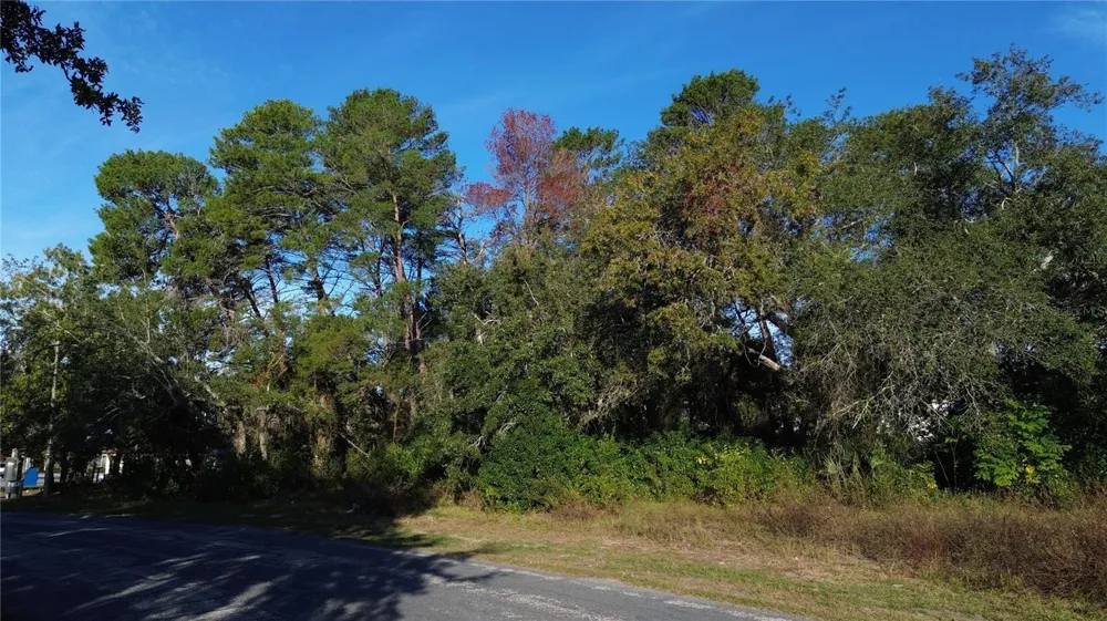 7939 RHANBUOY ROAD Spring Hill, FL 34606