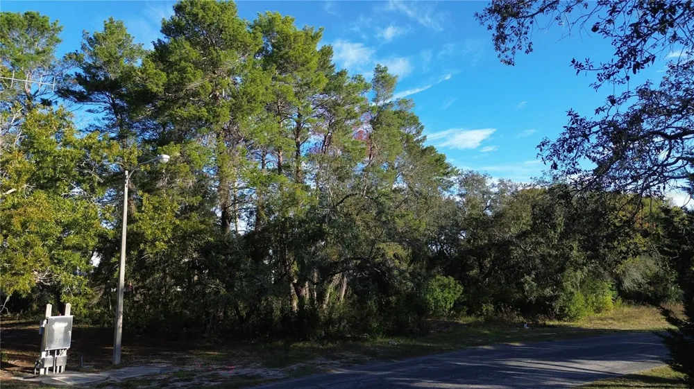7939 RHANBUOY ROAD Spring Hill, FL 34606