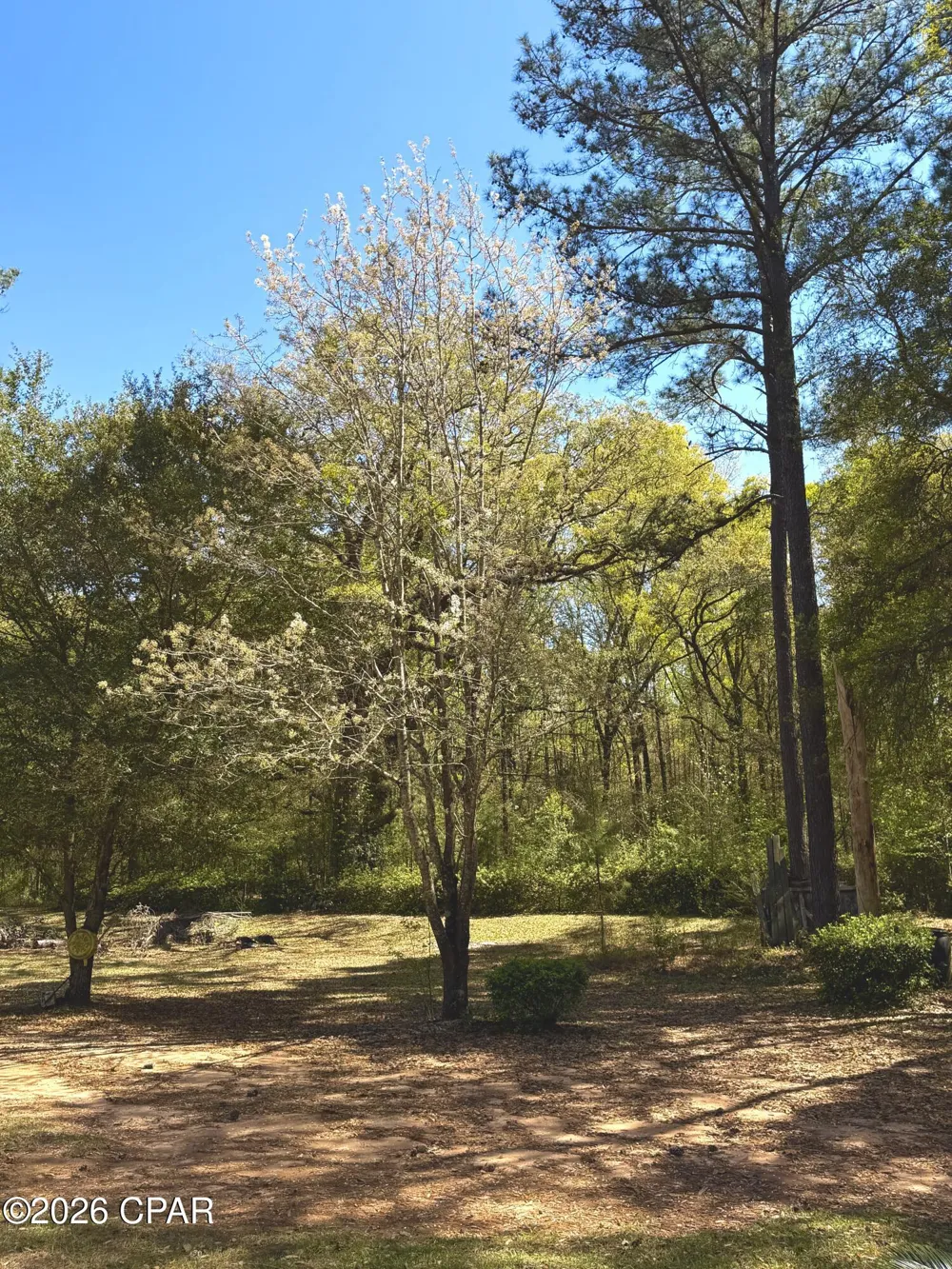 2729 Highway 2 Campbellton, FL 32426