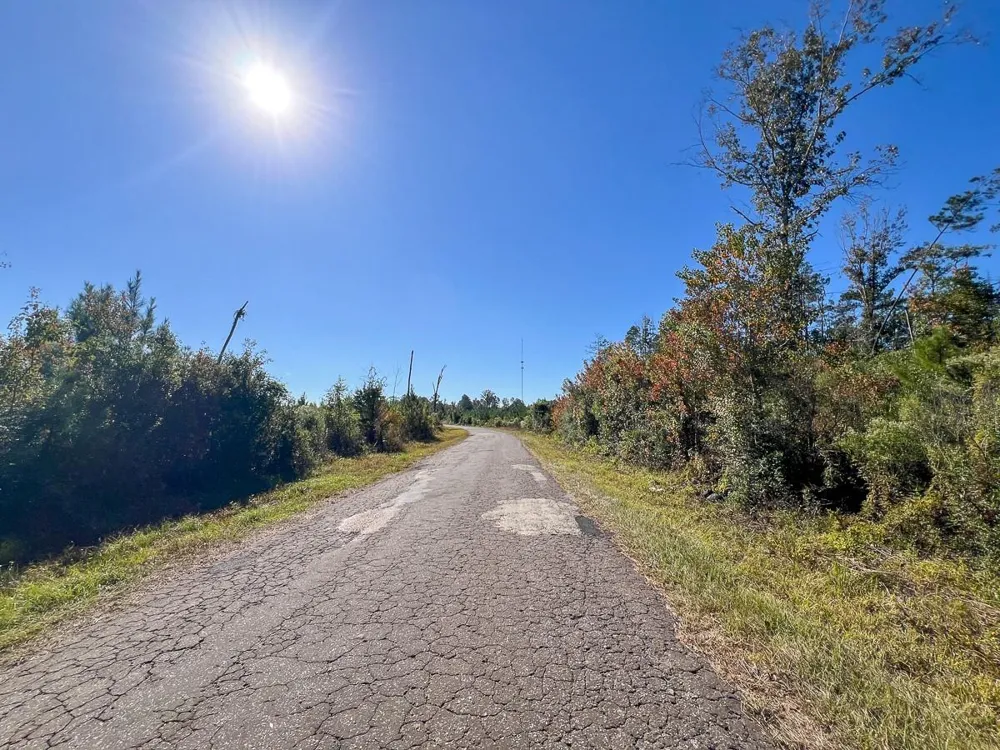 3 Fm 787 Votaw, TX 77376