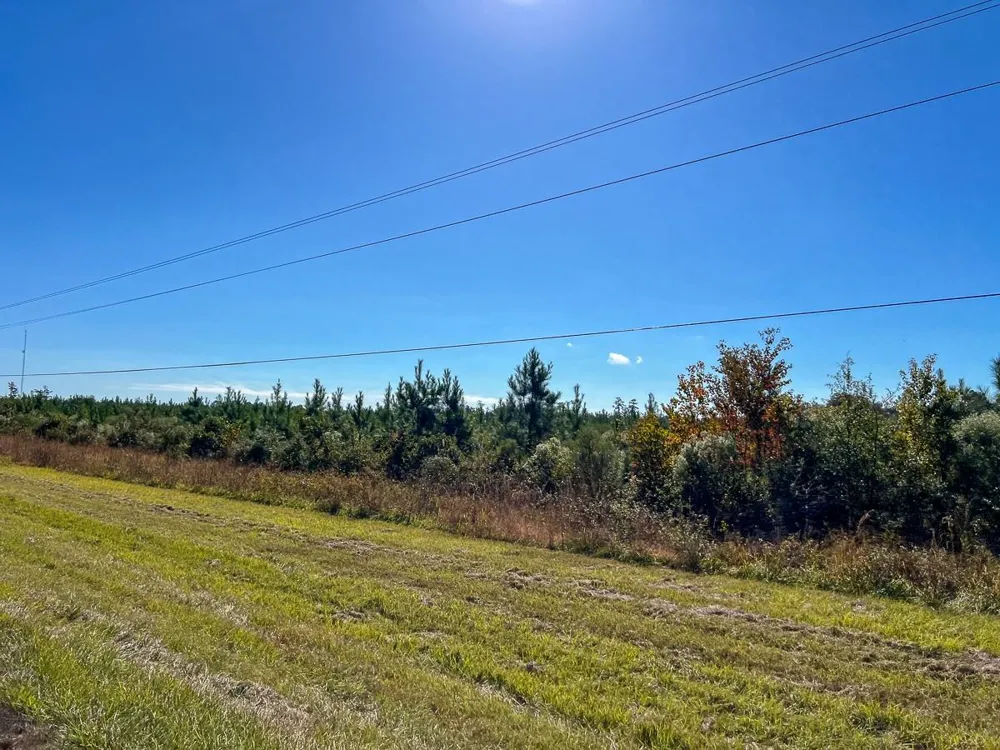 3 Fm 787 Votaw, TX 77376