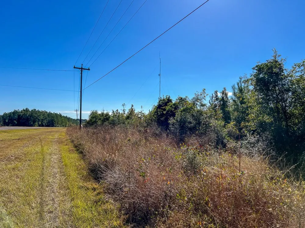 3 Fm 787 Votaw, TX 77376