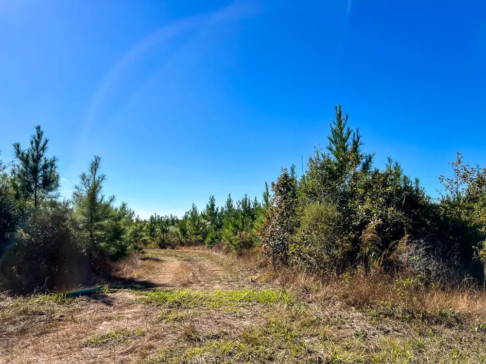3 Fm 787 Votaw, TX 77376