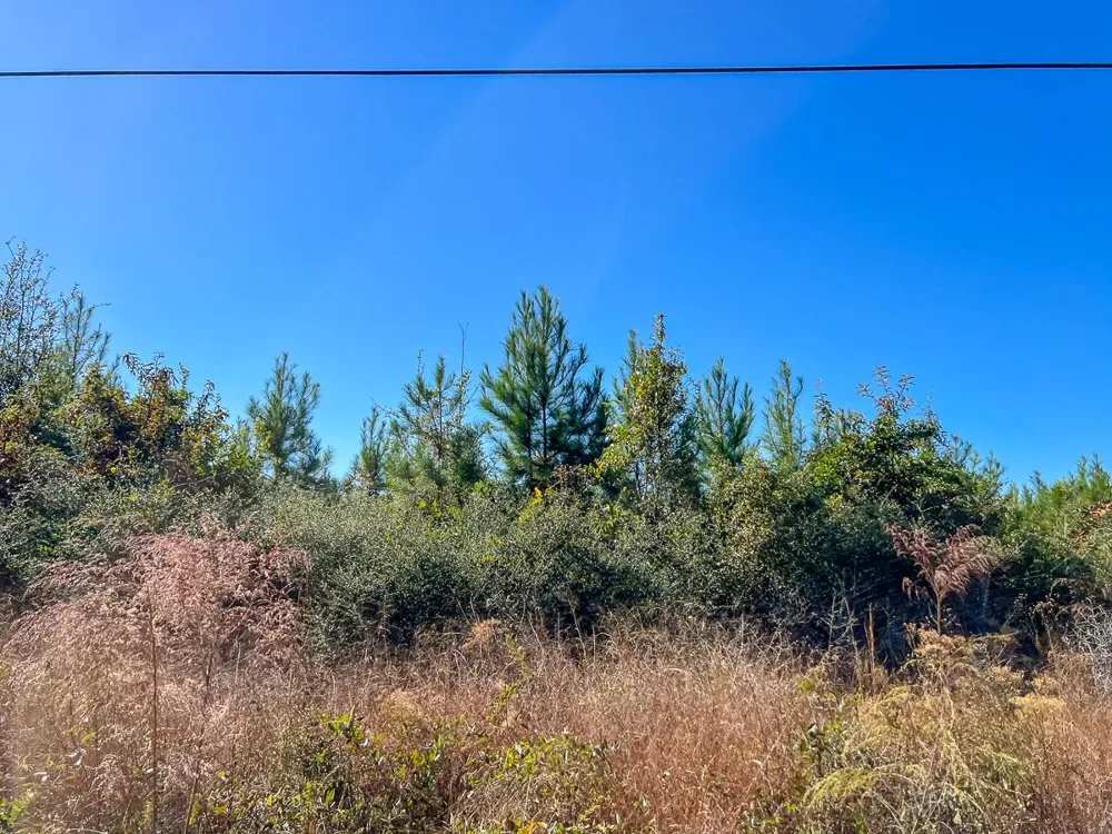 3 Fm 787 Votaw, TX 77376