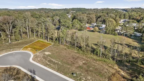 536 Council Creek Lane