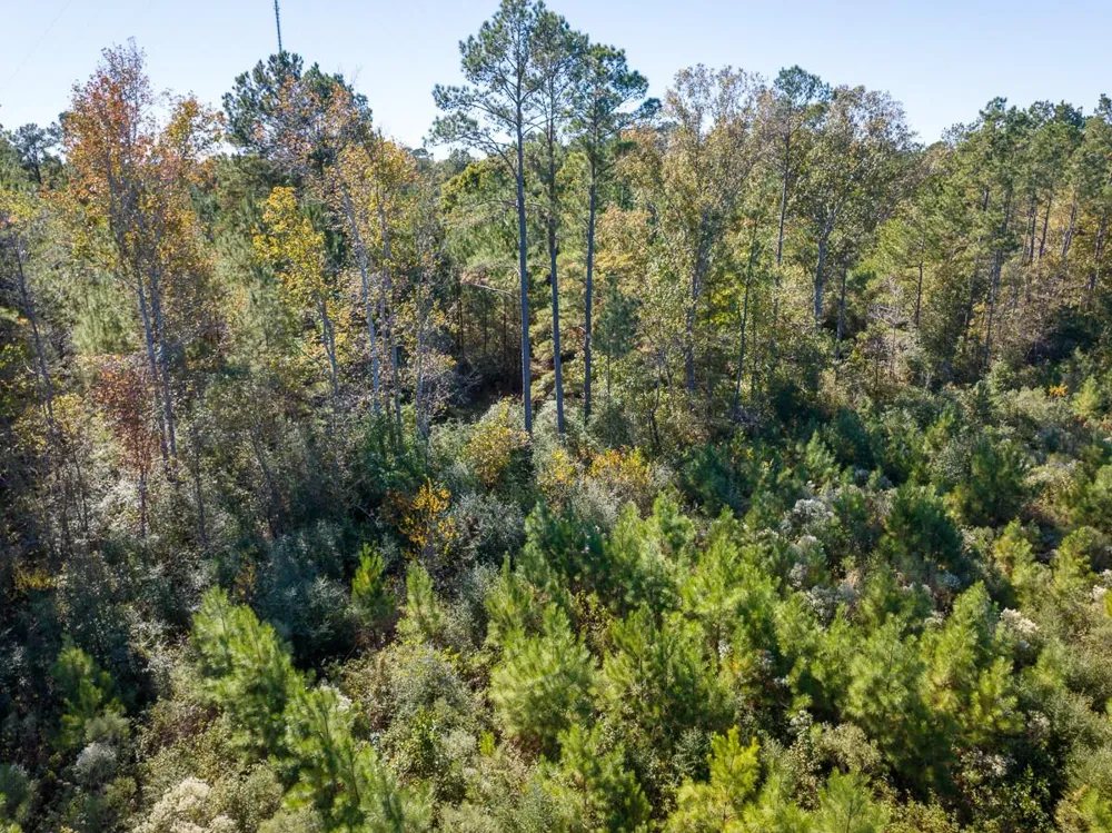 4 Fm 787 Votaw, TX 77376