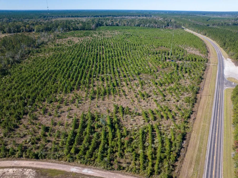 4 Fm 787 Votaw, TX 77376